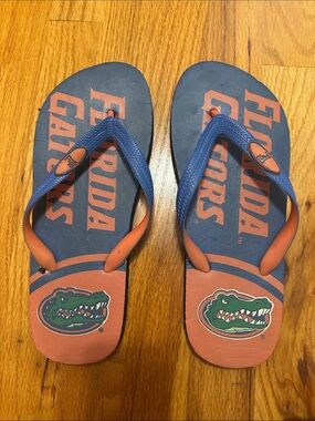 NCAA Florida Gators Orange and Blue Men's Flip Flops